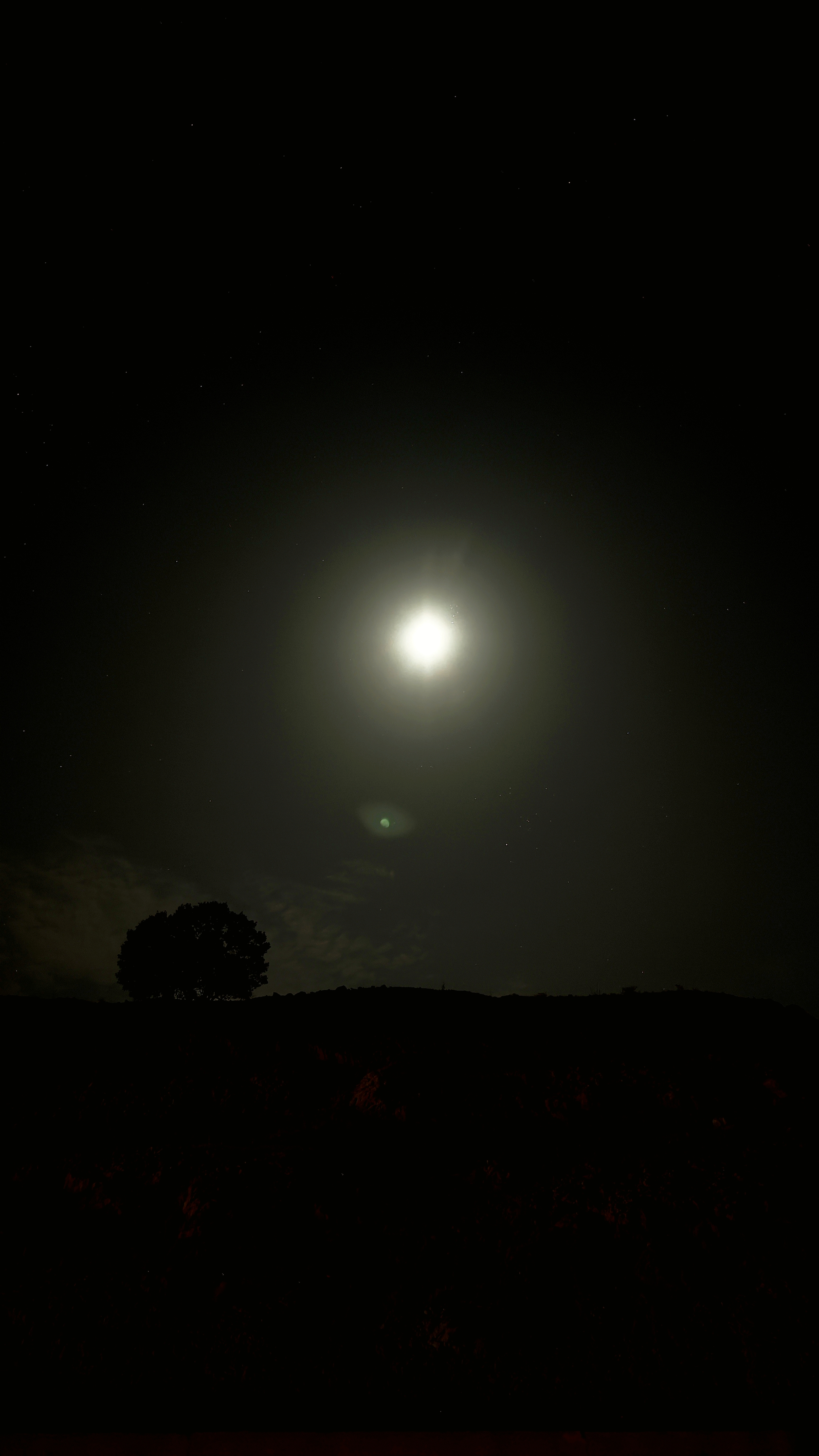 The Lone Sentinel