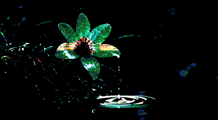 _drip_to_plink